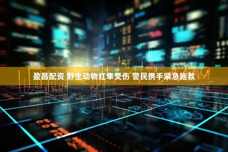 盈昌配资 野生动物红隼受伤 警民携手紧急施救
