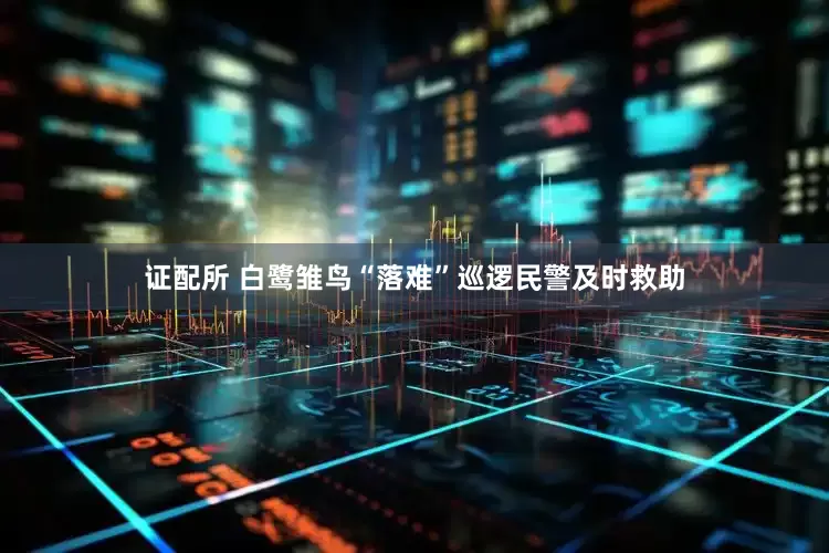 证配所 白鹭雏鸟“落难”巡逻民警及时救助