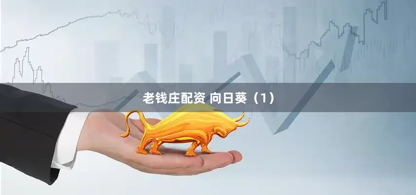 老钱庄配资 向日葵（1）