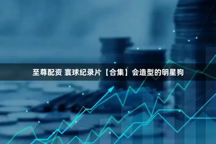 至尊配资 寰球纪录片【合集】会造型的明星狗